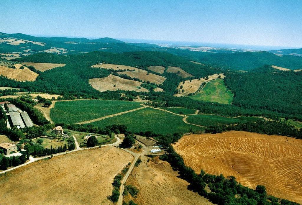 Fattoria Poggio Foco Villa Manciano Esterno foto