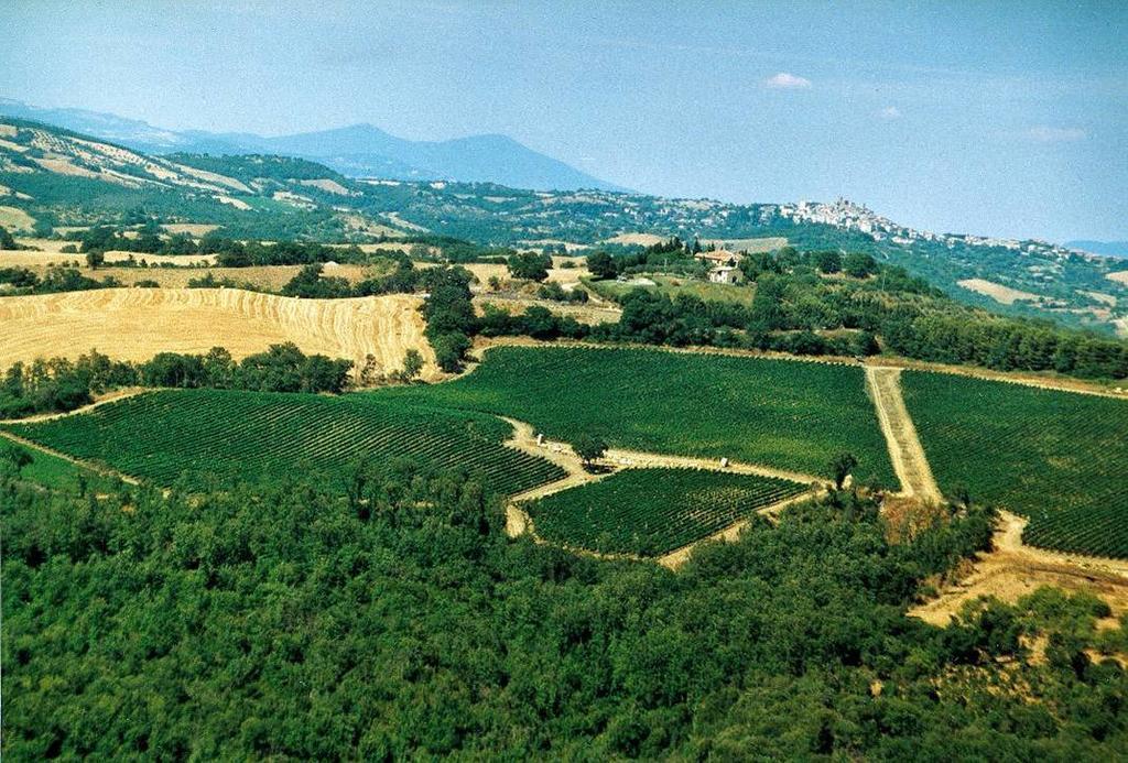 Fattoria Poggio Foco Villa Manciano Esterno foto