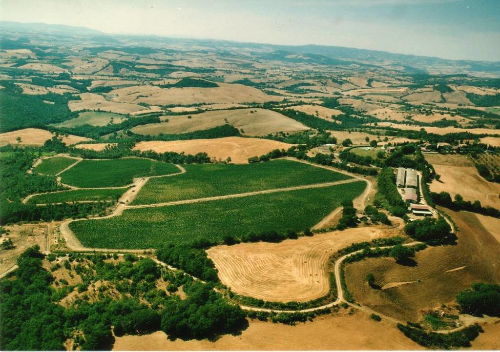Fattoria Poggio Foco Villa Manciano Esterno foto
