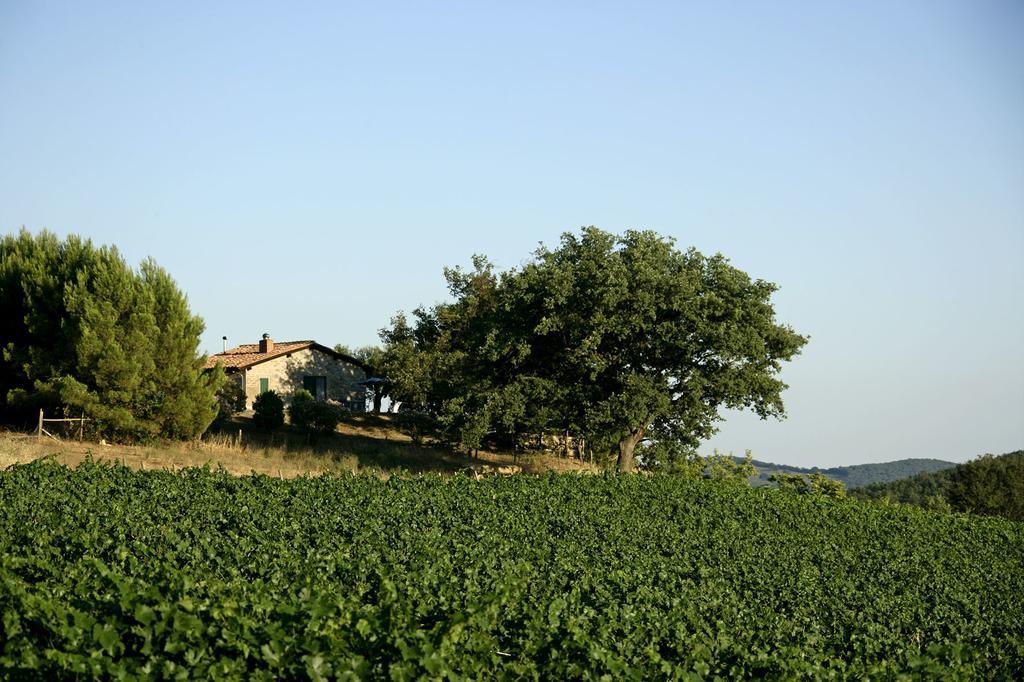 Fattoria Poggio Foco Villa Manciano Camera foto